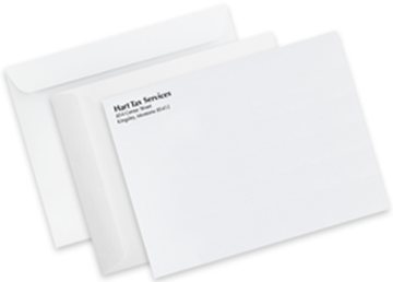 10" x 13" Mailing Envelope - Spot Color