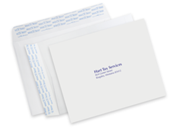 9" x 12" Mailing Envelope - Spot Color