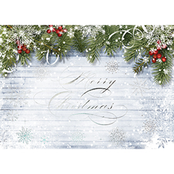 Snowy Sentiment - Printed Envelope