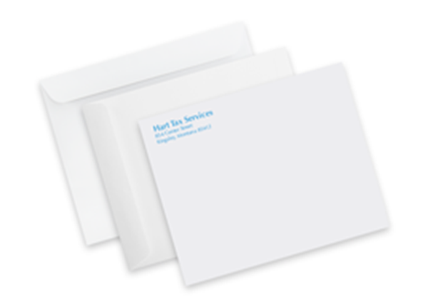 6" x 9" Mailing Envelope || Custom Envelopes || Spot Color